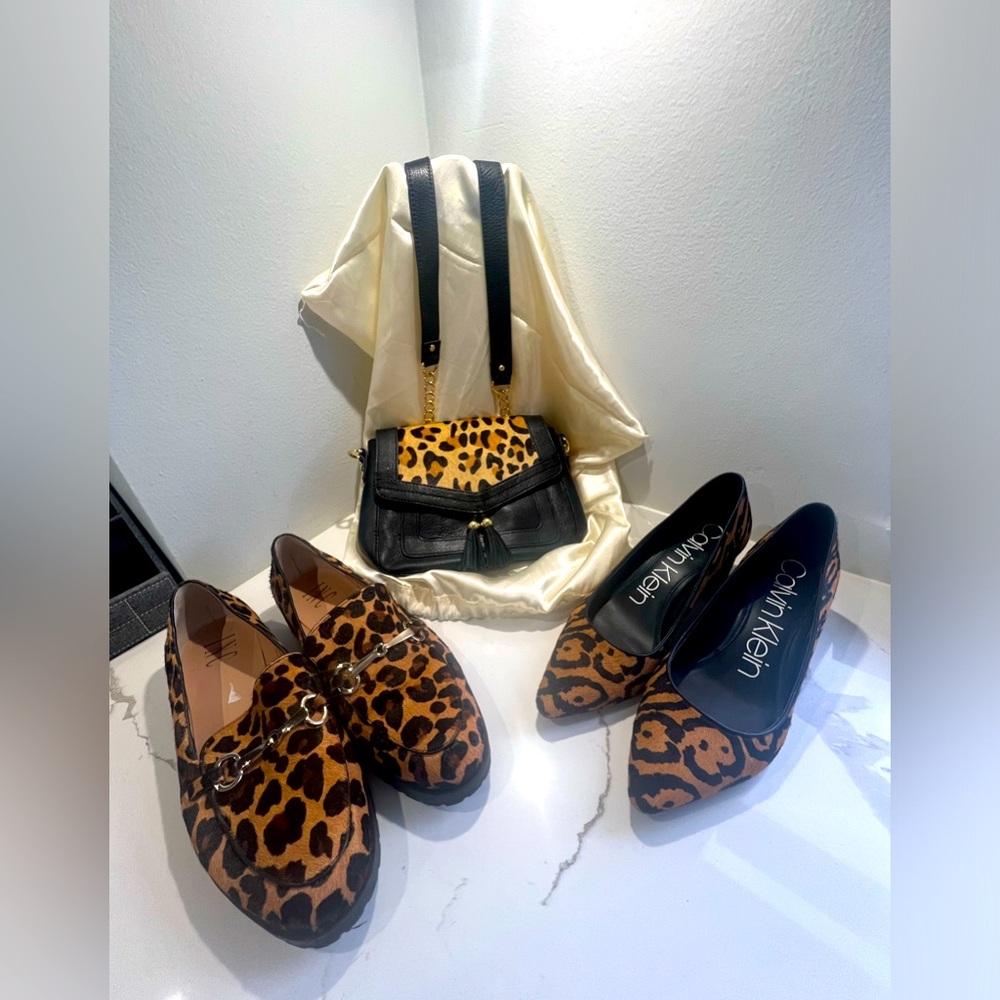 Animal print shoes and purse set